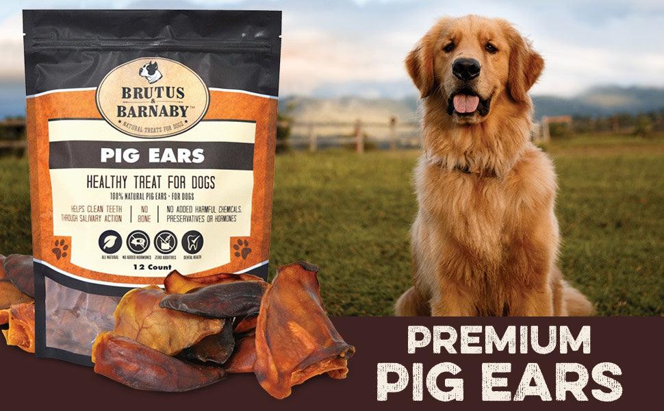 Our Pig Ears Recall of 2019 - How We Became One Of The Highest Quality Pig Ear Dog Treats On Amazon