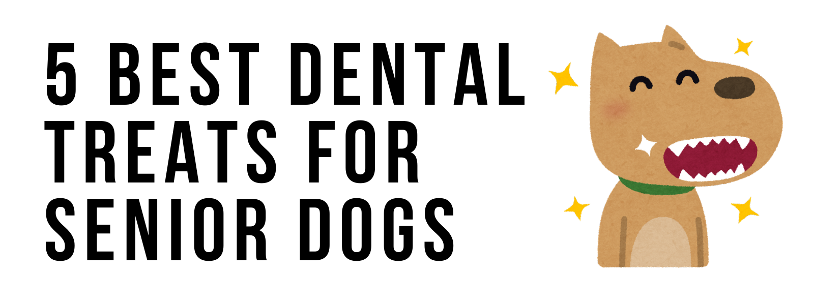 5 Best Dental Treats for Senior Dogs (Safe & Easy to Chew)