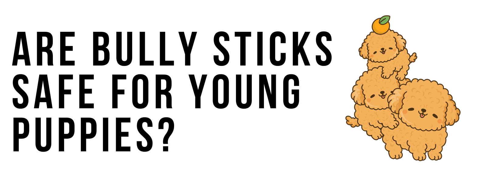 Are Bully Sticks Safe for Young Puppies?