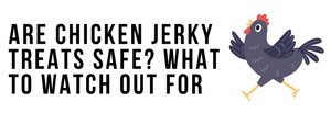 Are Chicken Jerky Treats Safe? What to Watch Out For