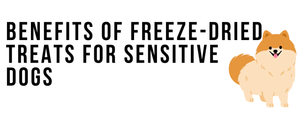 Benefits of Freeze-Dried Treats for Sensitive Dogs