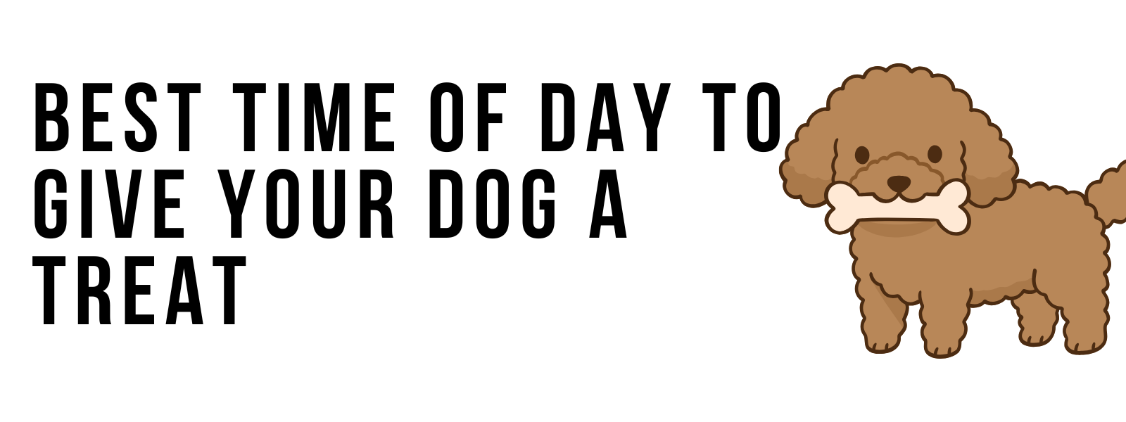 Best Time of Day to Give Your Dog a Treat