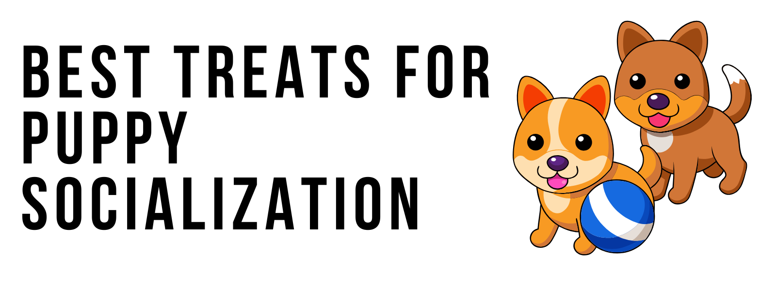 Best Treats for Puppy Socialization and Confidence Building