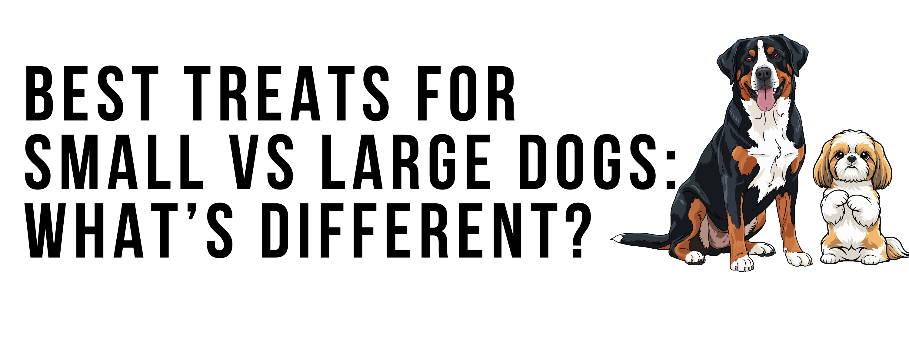 Best Treats for Small vs Large Dogs: What’s Different?
