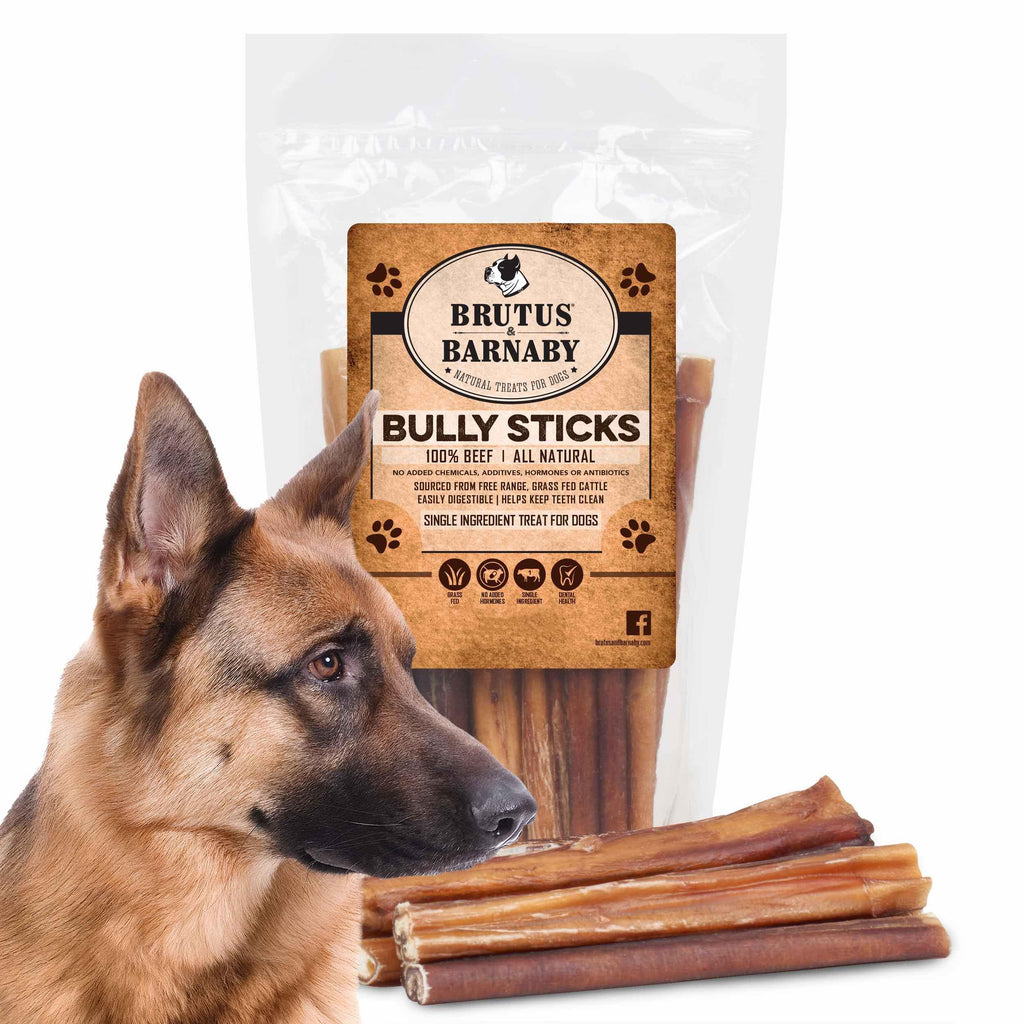 What are dog shop bully sticks made from