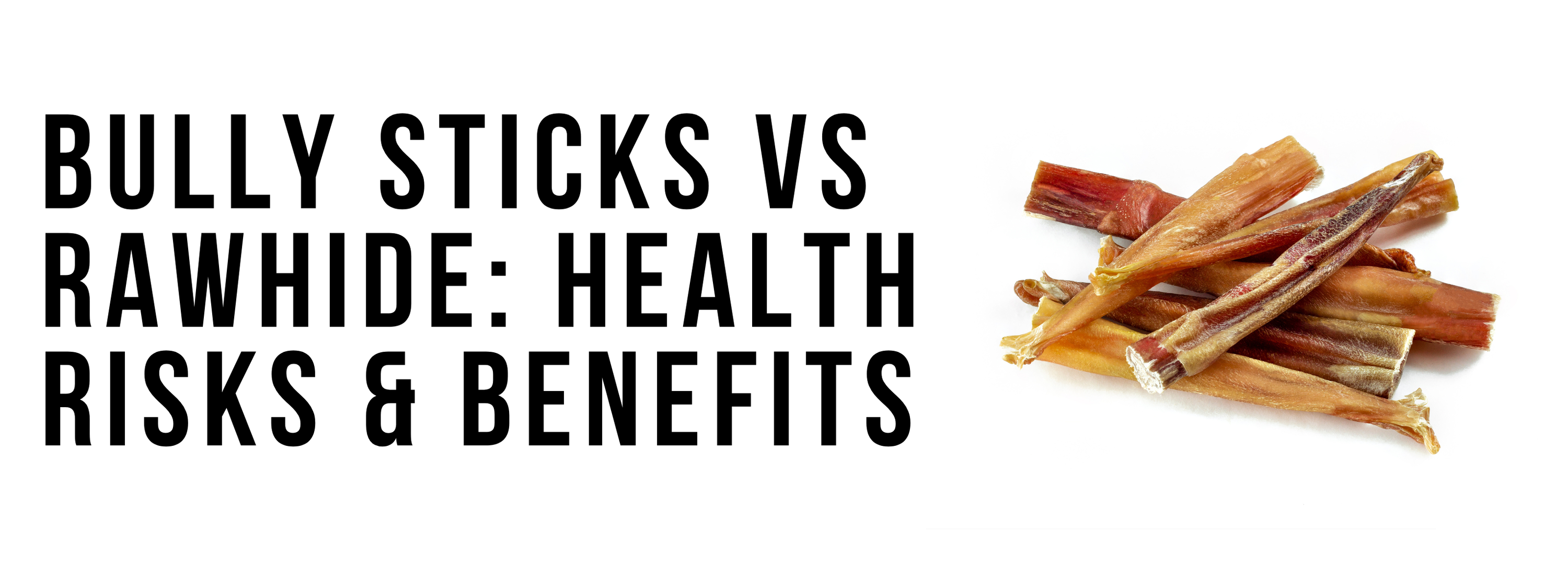 Bully Sticks vs Rawhide: Health Risks & Benefits