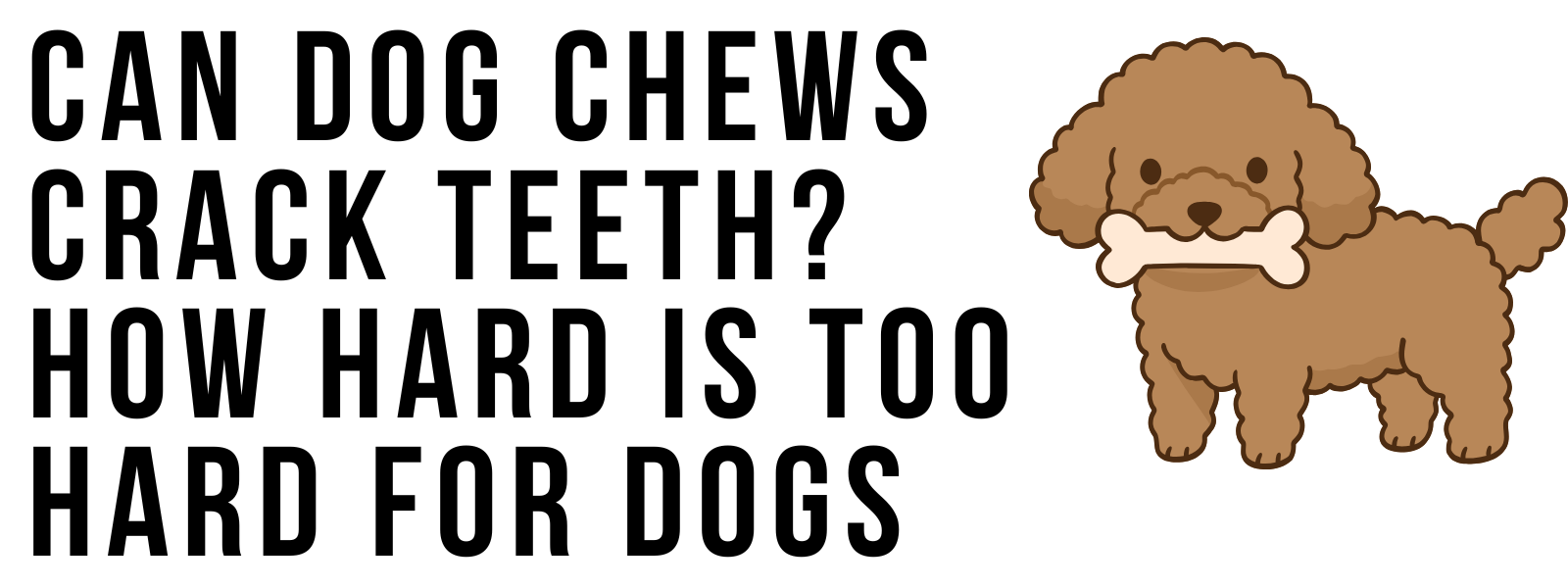 Can Dog Chews Crack Teeth? How Hard Is Too Hard for Dogs