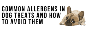 Common Allergens in Dog Treats and How to Avoid Them
