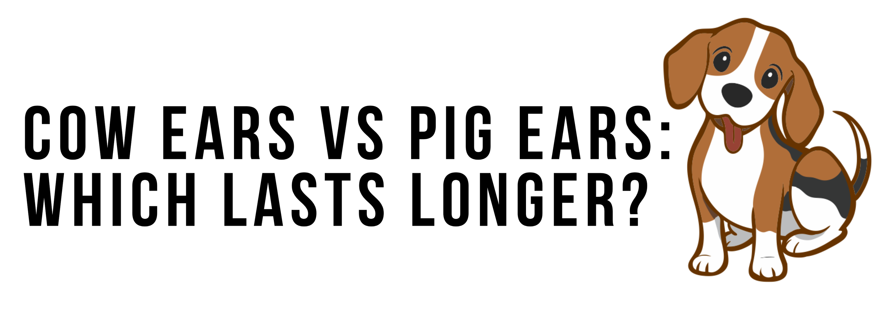 Cow Ears vs Pig Ears: Which Lasts Longer?