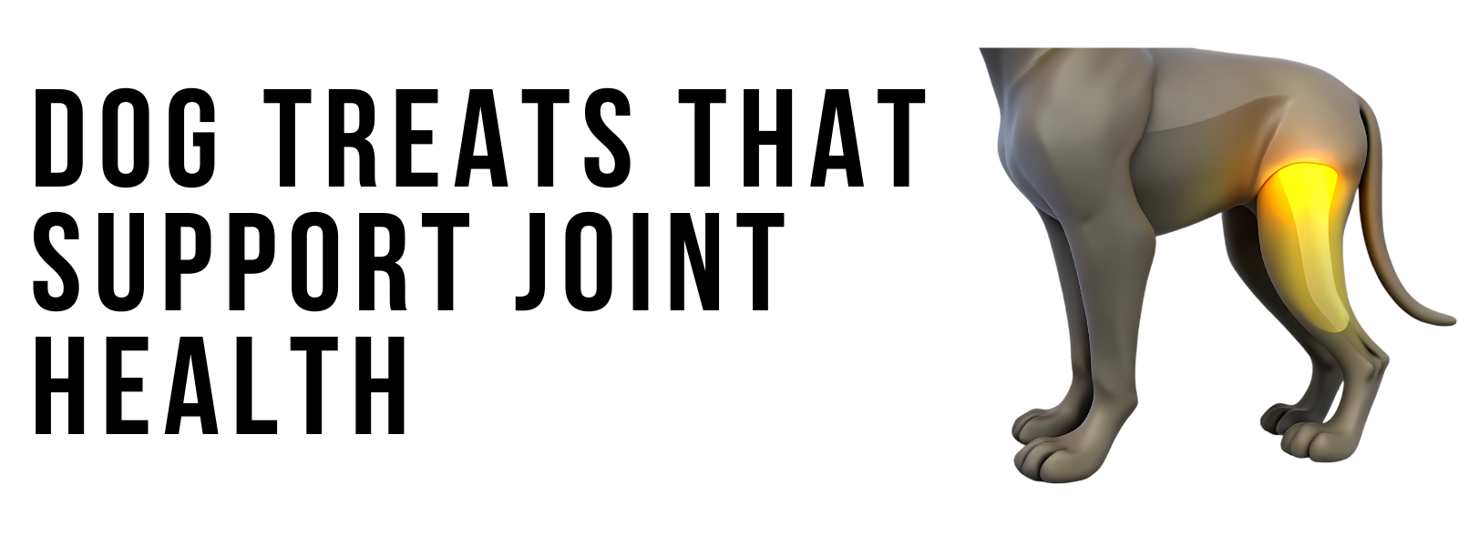 Dog Treats That Support Joint Health