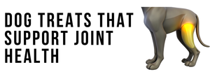 Dog Treats That Support Joint Health