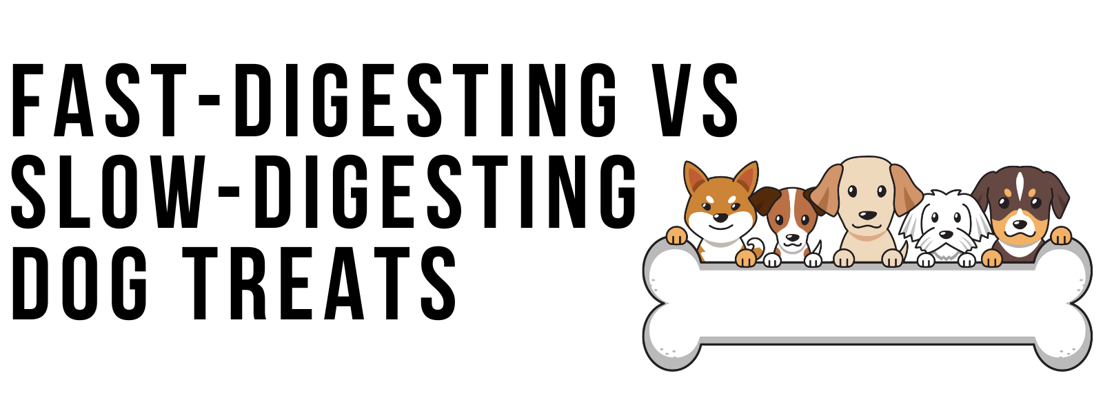 Fast-Digesting vs Slow-Digesting Dog Treats: What’s Best for Your Dog?