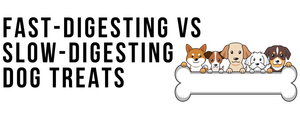 Fast-Digesting vs Slow-Digesting Dog Treats: What’s Best for Your Dog?