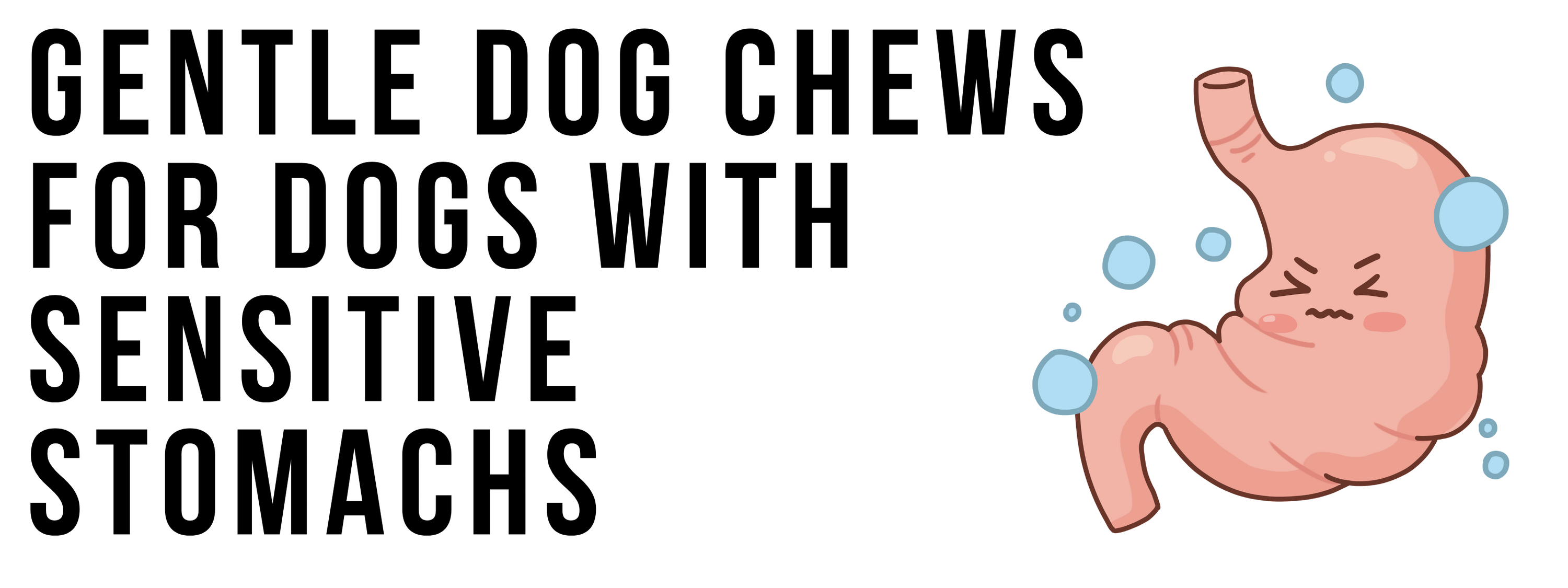 Gentle Dog Chews for Dogs With Sensitive Stomachs