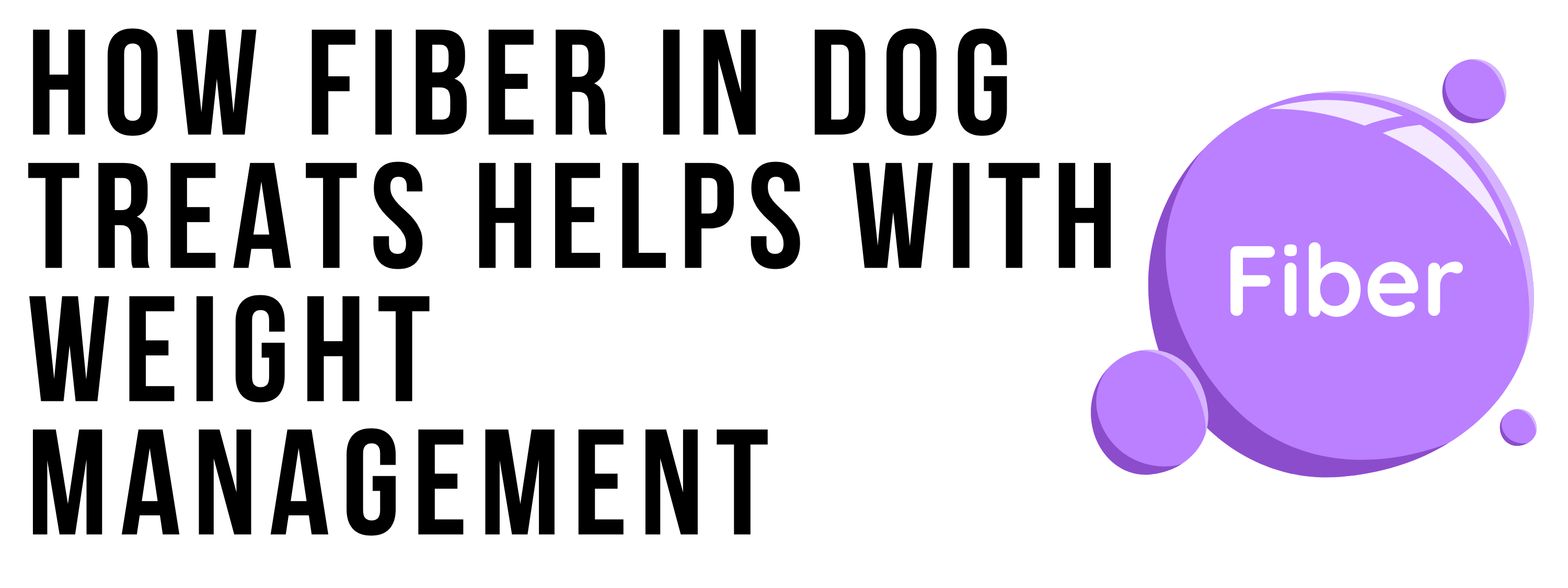 How Fiber in Dog Treats Helps With Weight Management