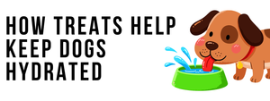 How Treats Help Keep Dogs Hydrated: Understanding Moisture Content