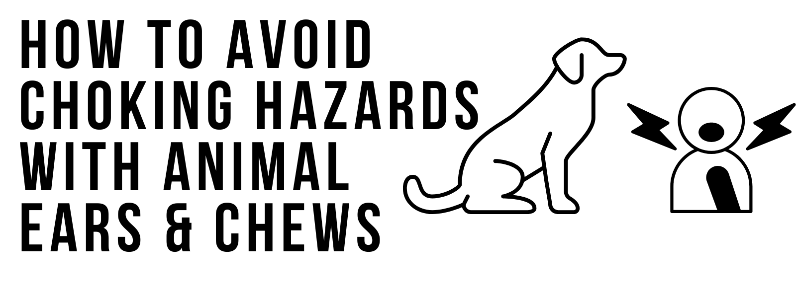 How to Avoid Choking Hazards with Animal Ears & Chews