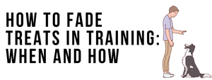 How to Fade Treats in Training: When and How