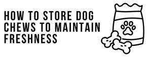 How to Store Dog Chews to Maintain Freshness