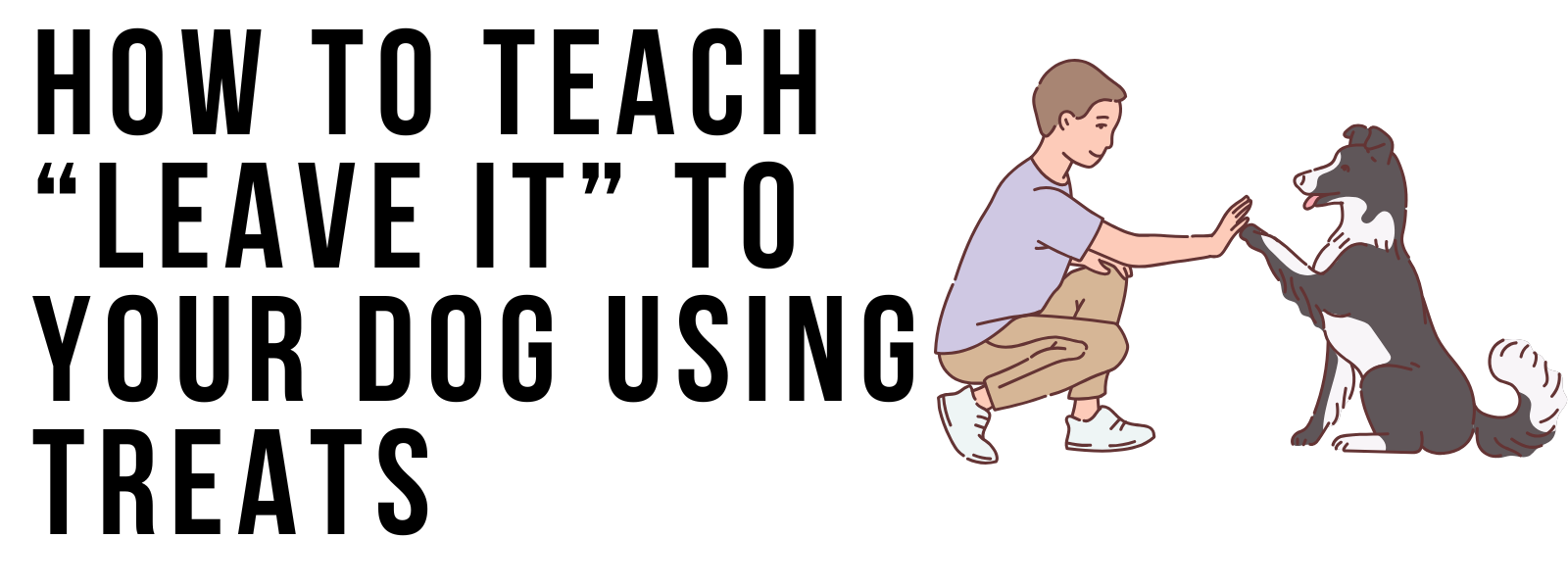 How to Teach “Leave It” to Your Dog Using Treats (Step-by-Step)