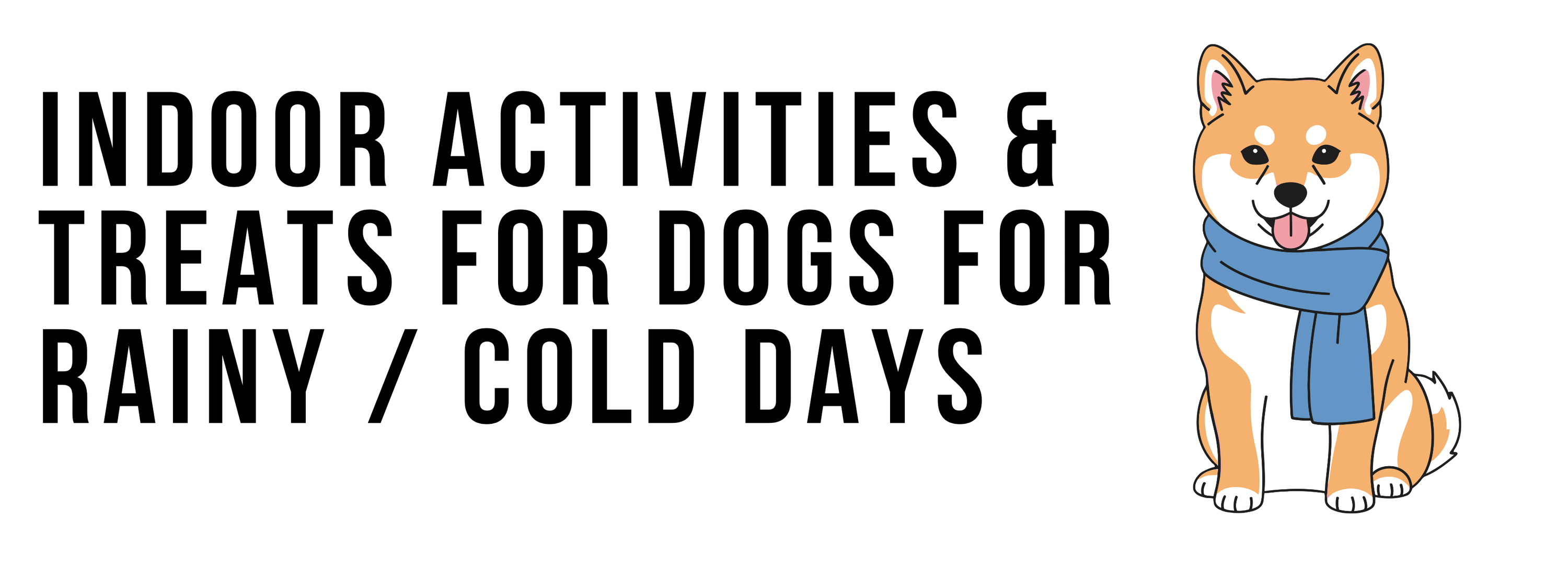 Indoor Activities & Treats for Dogs for Rainy / Cold Days