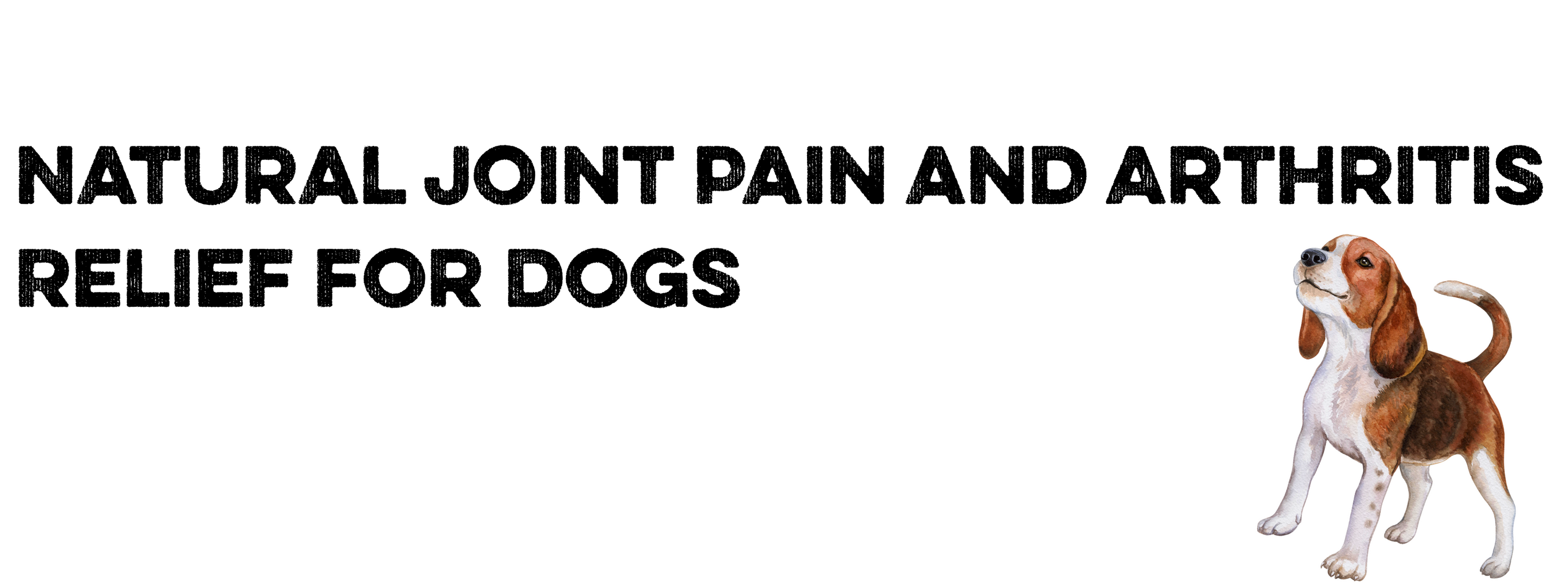 Natural Joint Pain and Arthritis Relief for Dogs: Chondroitin & Glucosamine