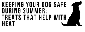 Keeping Your Dog Safe During Summer: Treats That Help With Heat