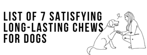 List of 7 Satisfying Long-Lasting Chews for Dogs