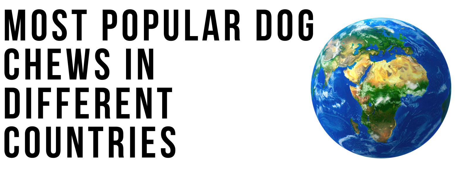 Most Popular Dog Chews in Different Countries (and Why They’re Loved)