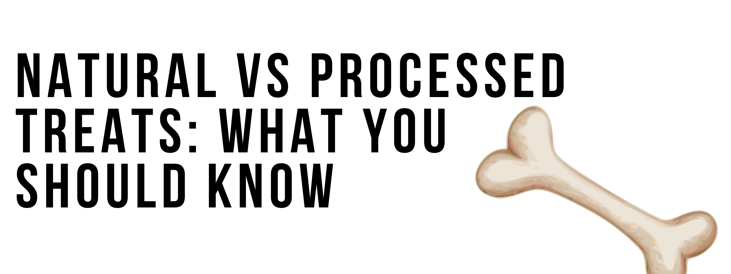 Natural vs Processed Treats: What You Should Know