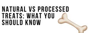 Natural vs Processed Treats: What You Should Know