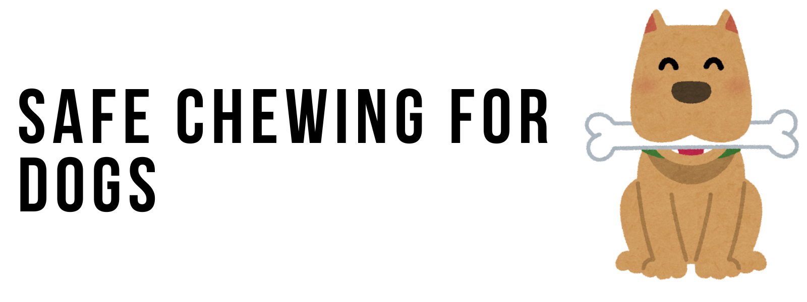 Safe Chewing for Dogs: Prevent Boredom & Destructive Behavior