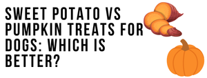 Sweet Potato vs Pumpkin Treats for Dogs: Which Is Better?