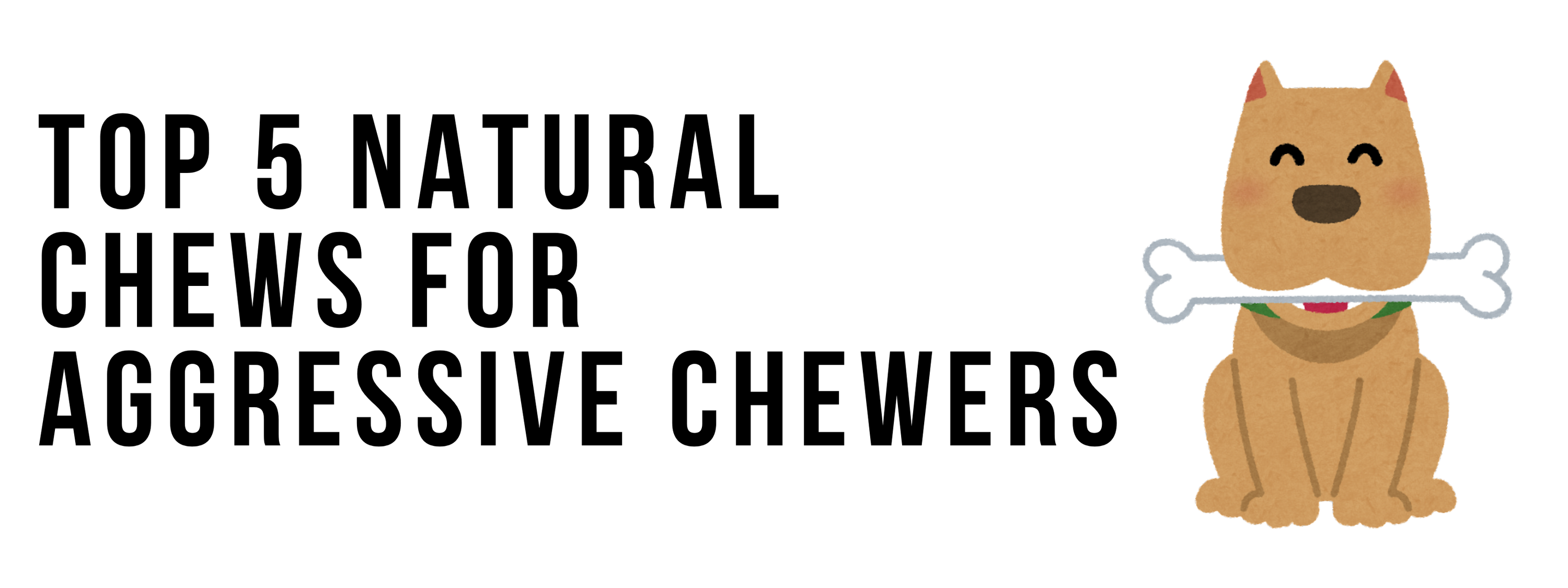 Top 5 Natural Chews for Aggressive Chewers