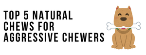 Top 5 Natural Chews for Aggressive Chewers