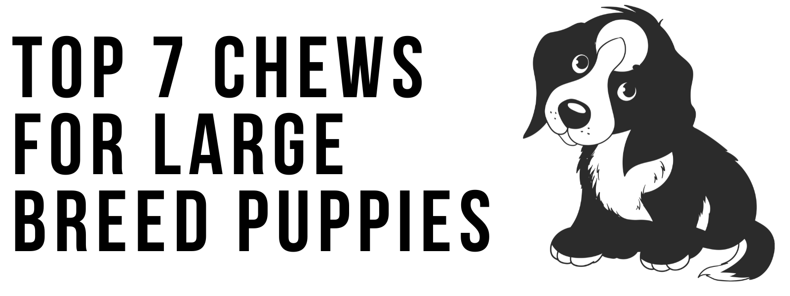 Top 7 Chews for Large Breed Puppies (Safe, Long-Lasting Options)