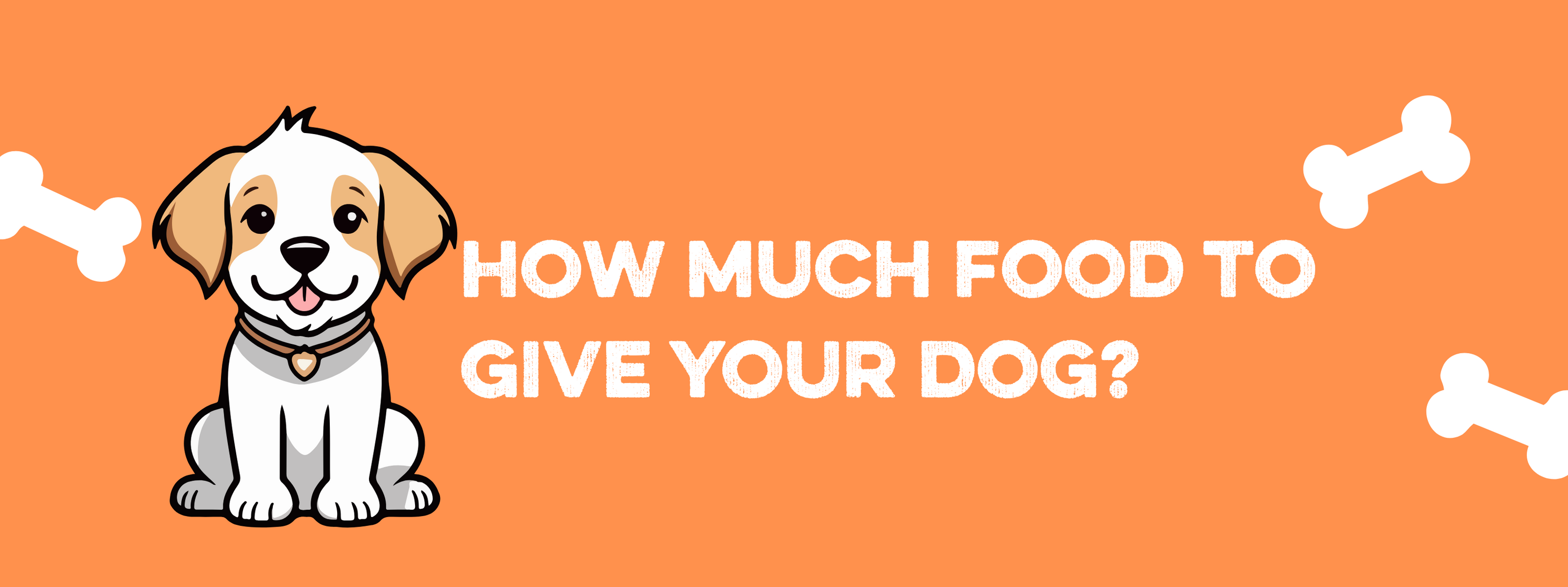 How Much Should You Feed Your Dog? (Hint: Your Dog's Begging Doesn't Count...)