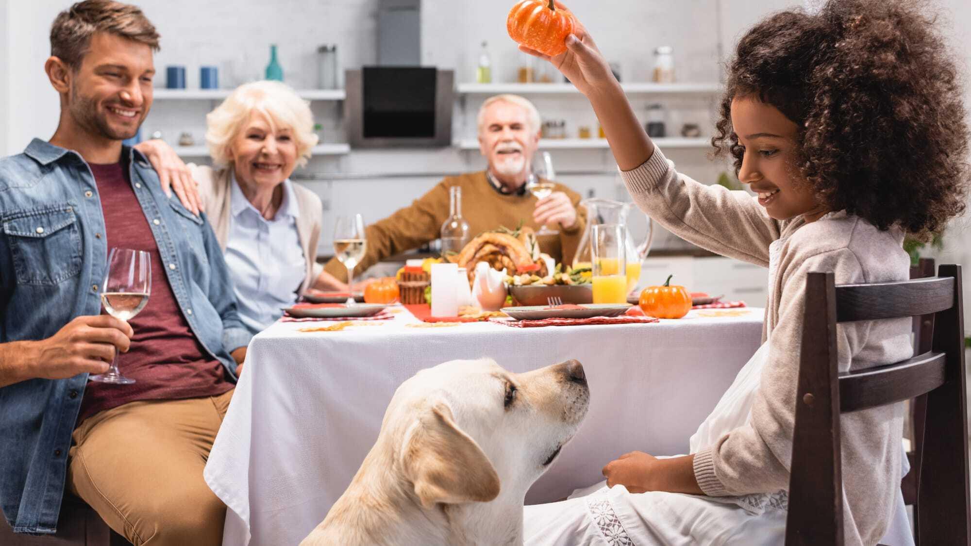 What Can Dogs Eat on Thanksgiving? Safe & Unsafe Foods Explained