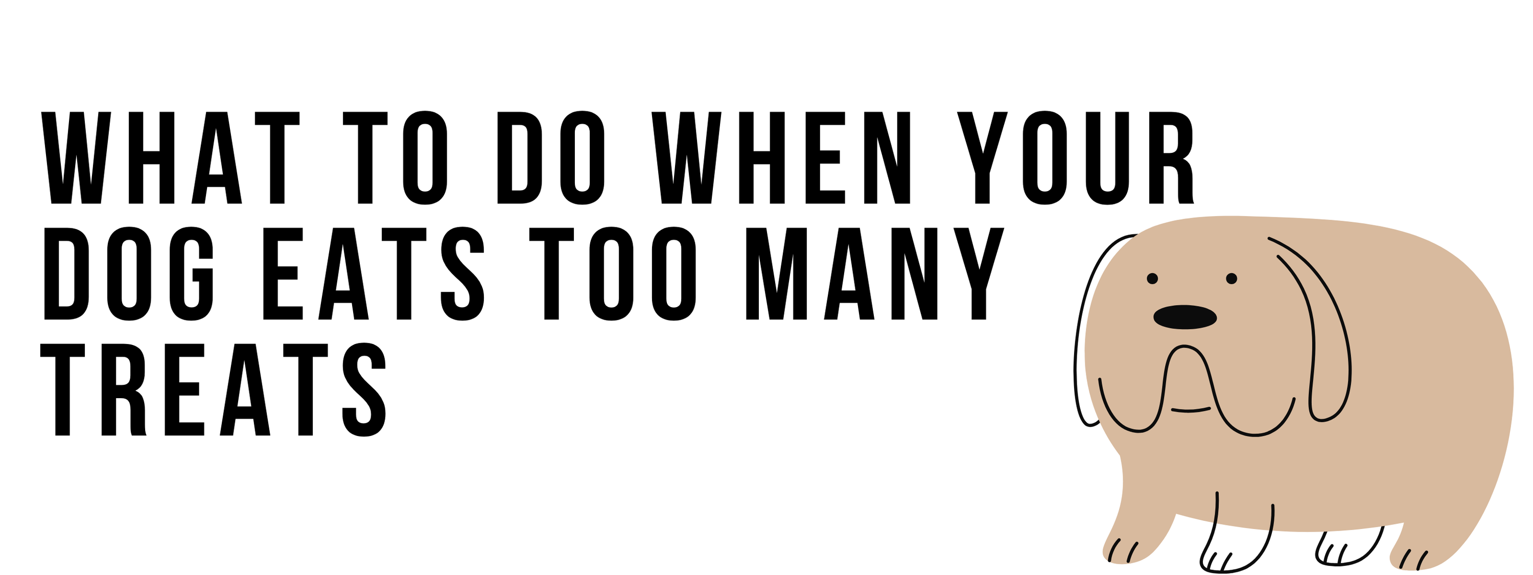 What to Do When Your Dog Eats Too Many Treats