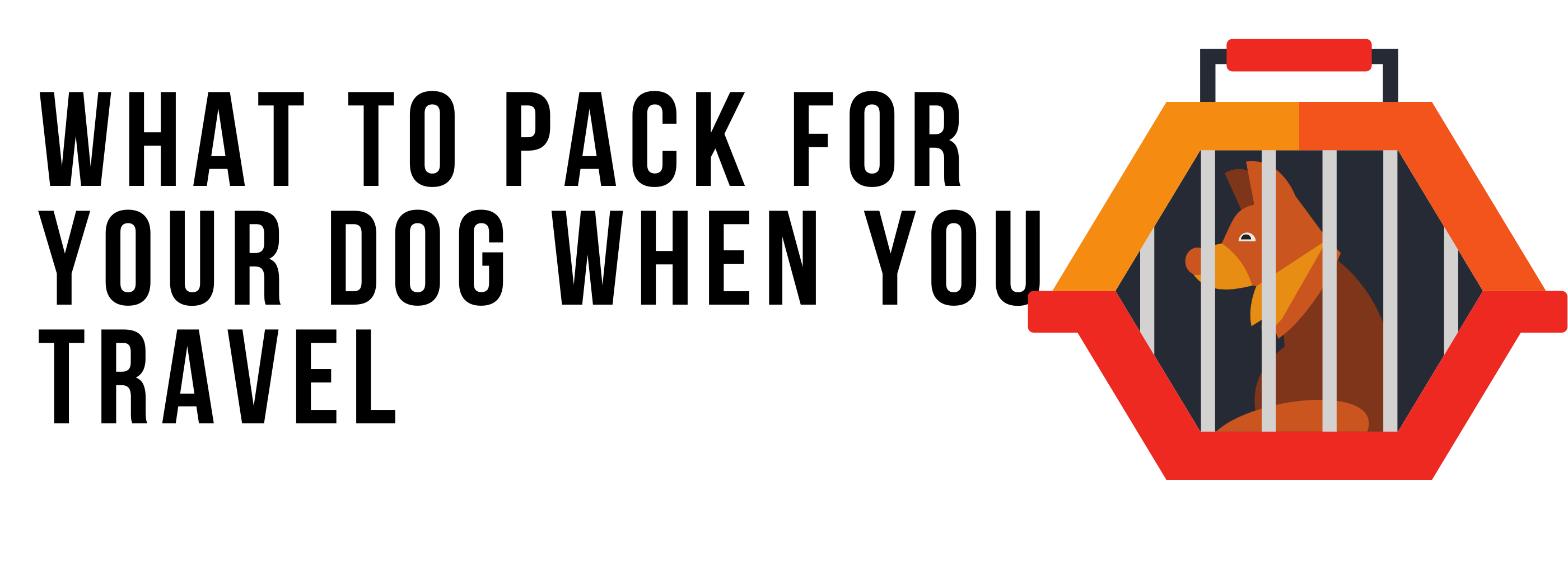 What to Pack for Your Dog When You Travel