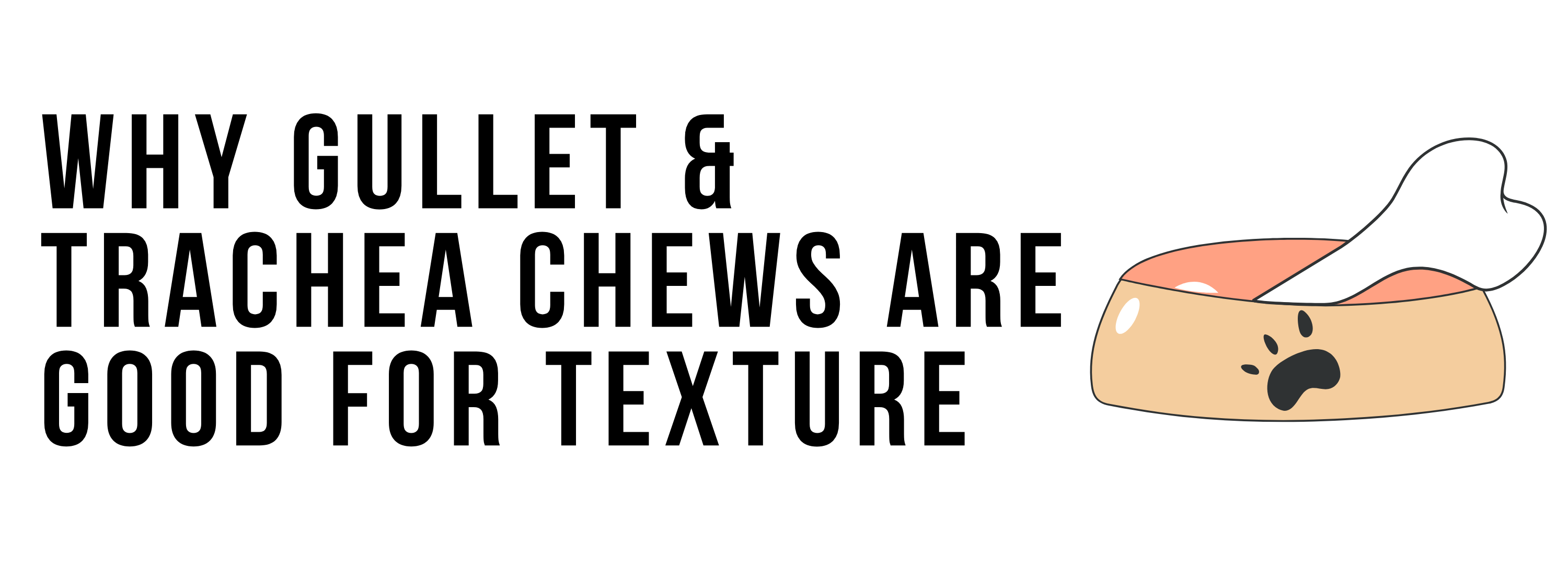 Why Gullet & Trachea Chews Are Good for Texture