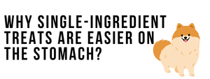 Why Single-Ingredient Treats Are Easier on the Stomach?