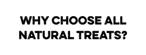 Why Choose All-Natural Dog Treats? Hidden Ingredients to Avoid