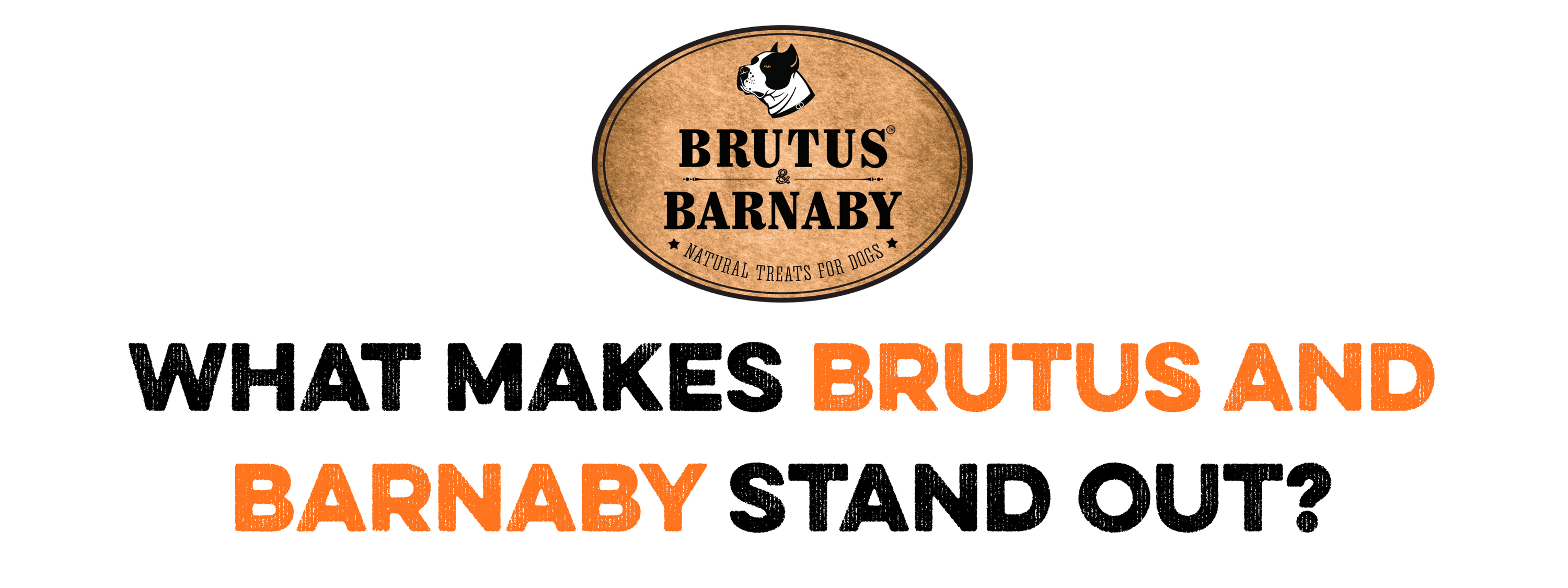 Pig Ear Recall 2019: How We Transformed Into One of the Best Quality Pig Ear Dog Treat Brands on Amazon