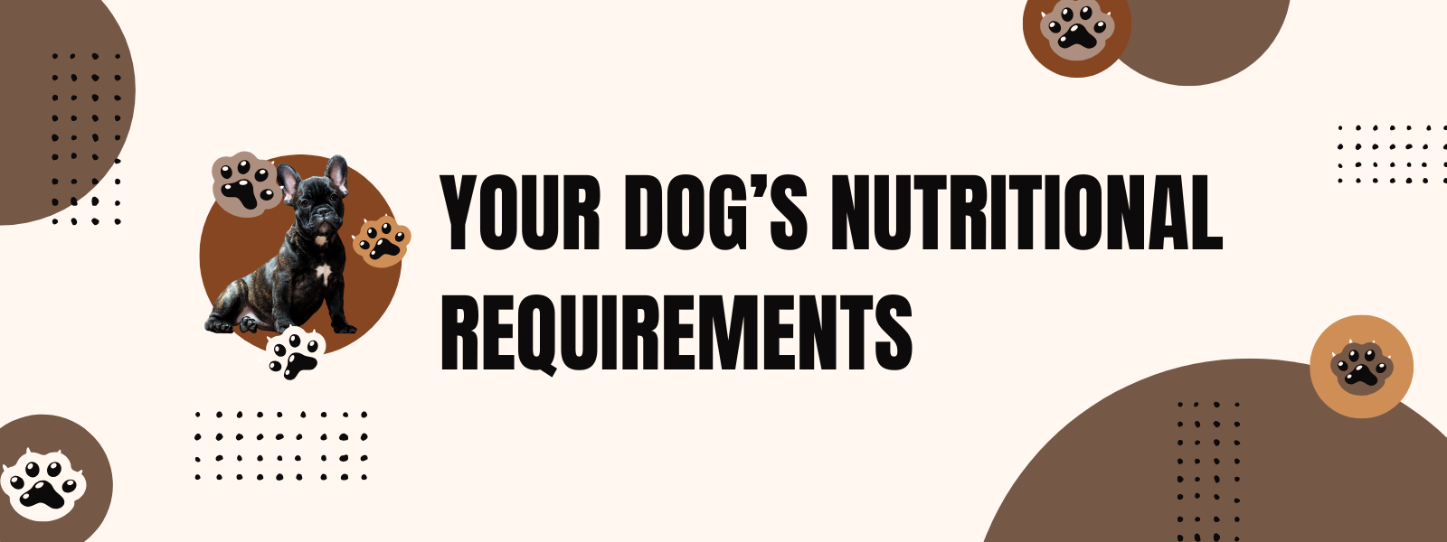 6 Essential Nutritional Requirements Every Dog Needs for a Balanced Diet