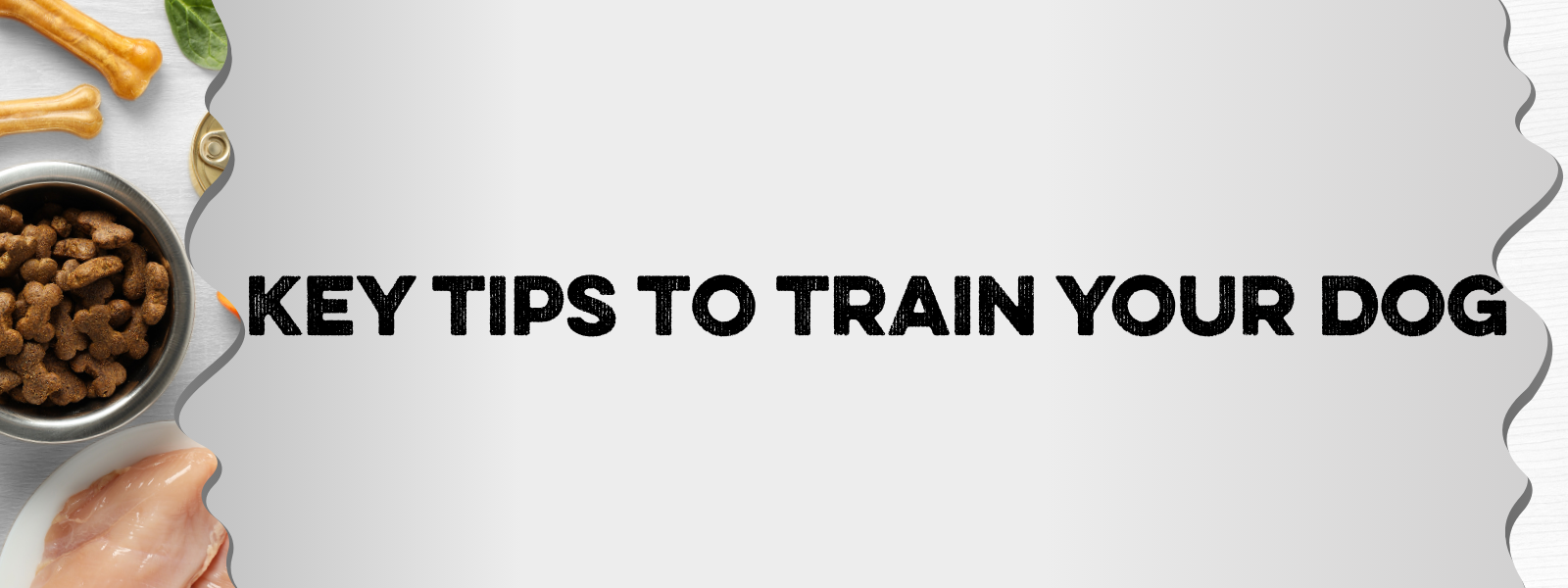 5 Key Tips to Train Your Dog Effectively