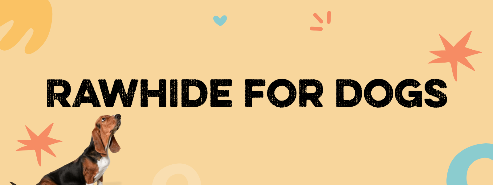 Rawhide for Dogs: Facts, Risks, and How to Choose Healthy Chews