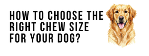 How to Choose the Right Chew Size for Your Dog?