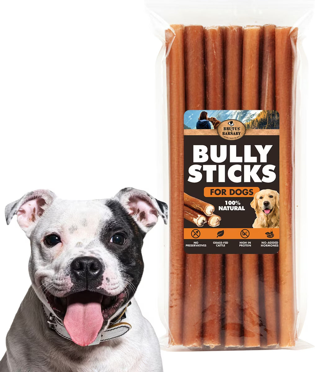 12 Inch Bully Sticks for Dogs – Extra Thick, Long Lasting Dog Chews (Low Odor, Grass-Fed, Rawhide-Free)