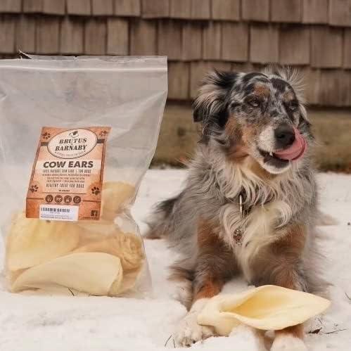 Cows Ears For Dogs Discontinued BARKWORTHIES Smoked Cow Ear Dog